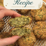 Dahi Kebabs